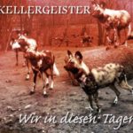 Kellergeister - Wir in diesen Tagen (CD)