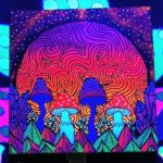 Uv-Aktiv Acryl auf Leinwand "Pilze im Sonnenuntergang" 30x30