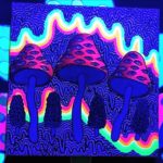Uv-Aktiv Acryl auf Leinwand "Pilze" 30x30