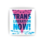 25x "Trans Liberation Now!" Sticker - Gegen Nazis Aufkleber - Linke LGBTQIA+ - Queere Community